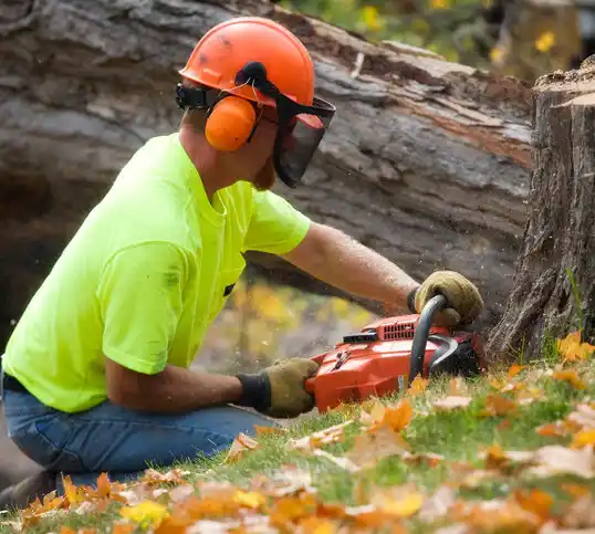 tree services Weeping Water